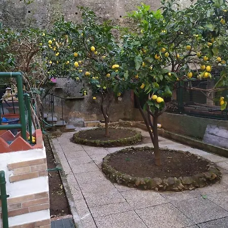 Oparavisegenova Exterior photo