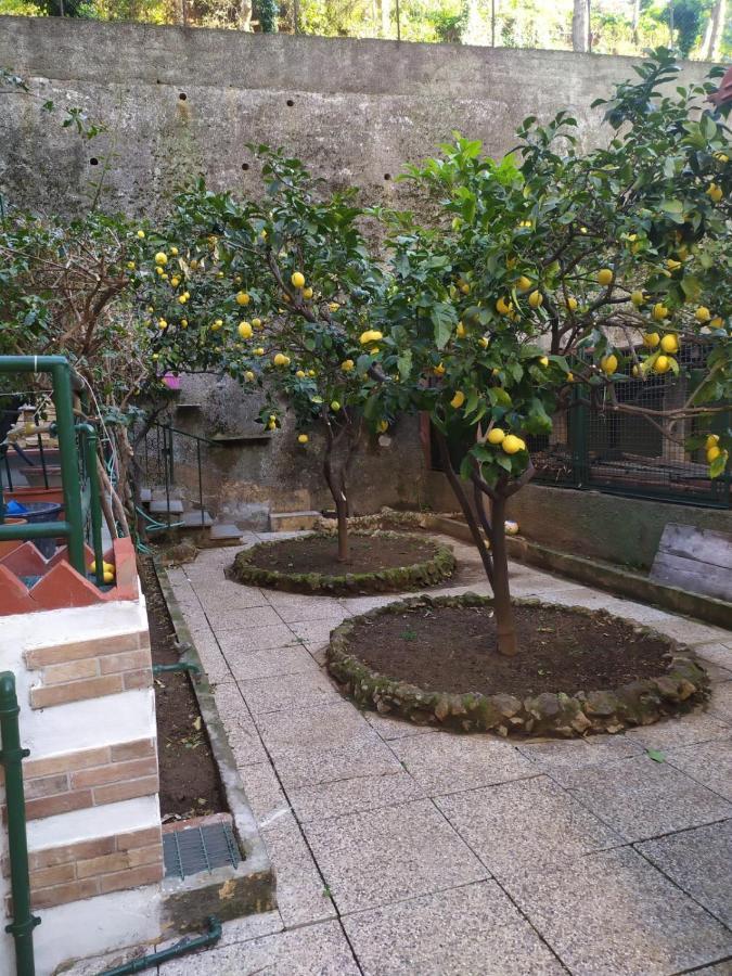 Oparavisegenova Apartamento Génova